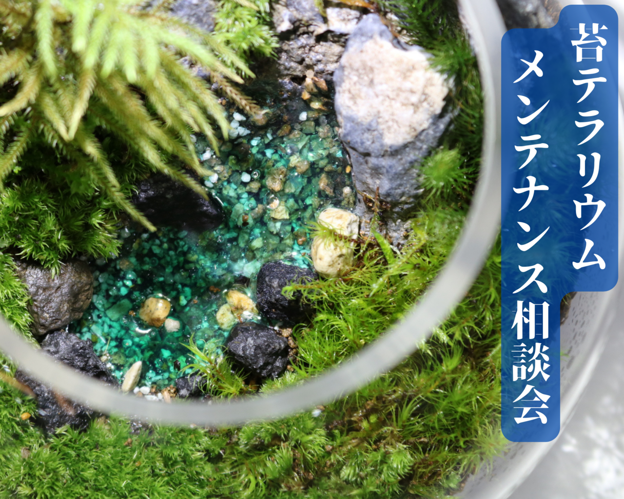 6月18日【ものづくり講座】 植物の魅力に触れる触れる景色作り～メンテナンス相談会～