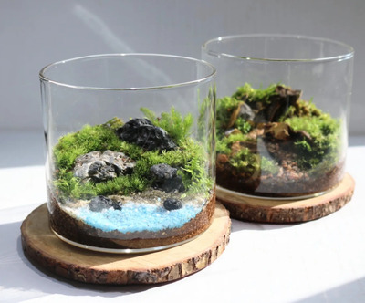 6月18日【ものづくり講座】 植物の魅力に触れる触れる景色作り～メンテナンス相談会～