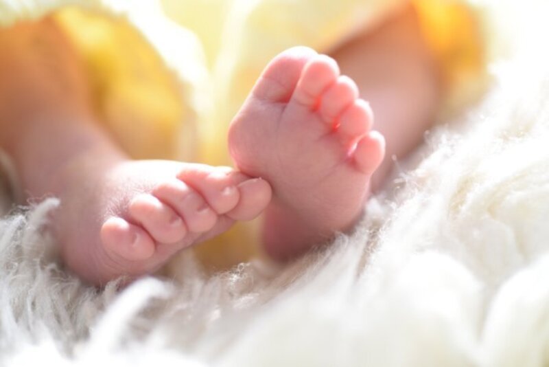 ZOOM無料サポート