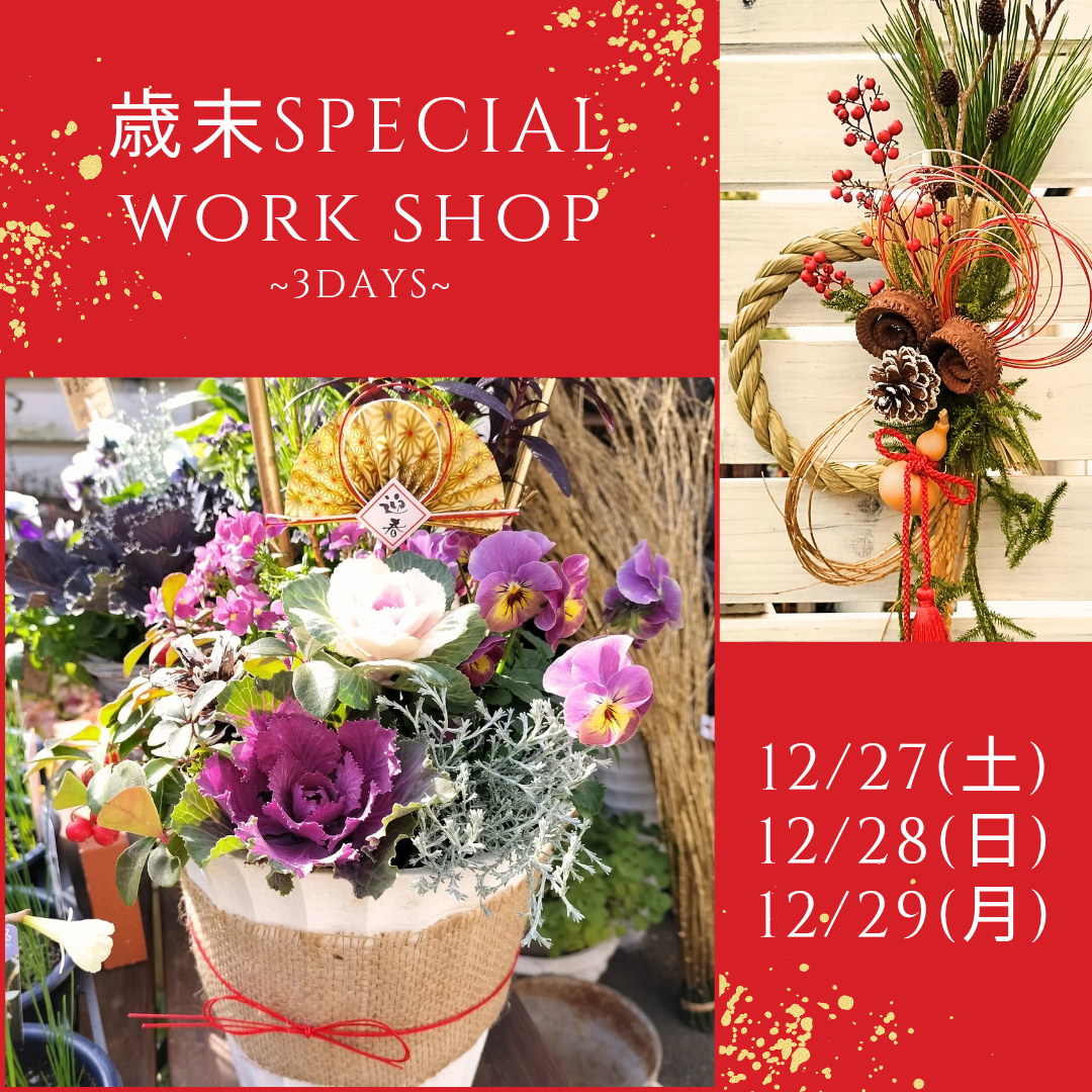 『歳末レッスン3DAYS』