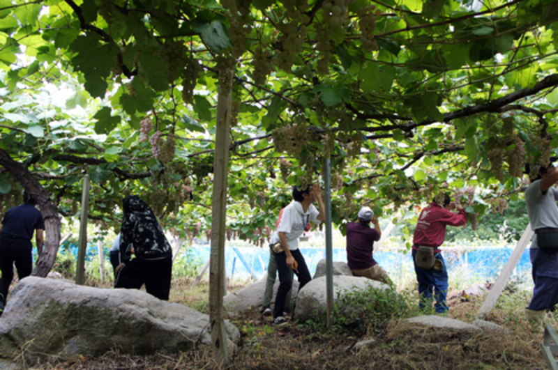 インターンシップ 【1週間（実質5日）】コース