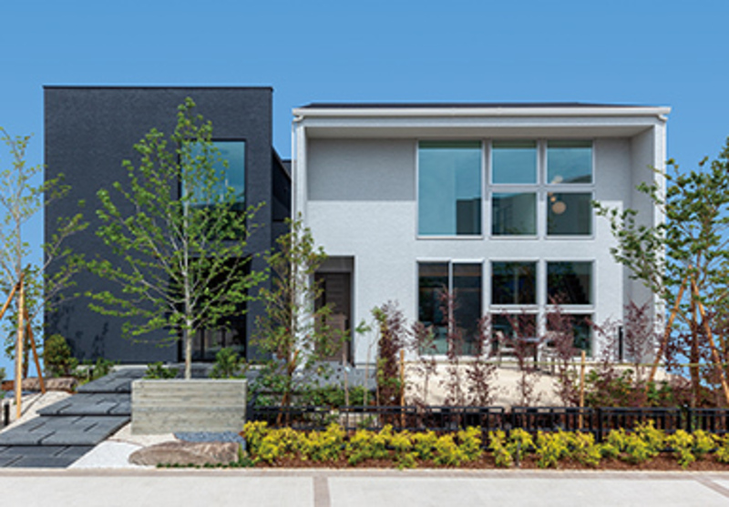 明石・大蔵海岸_CFL_１０号地