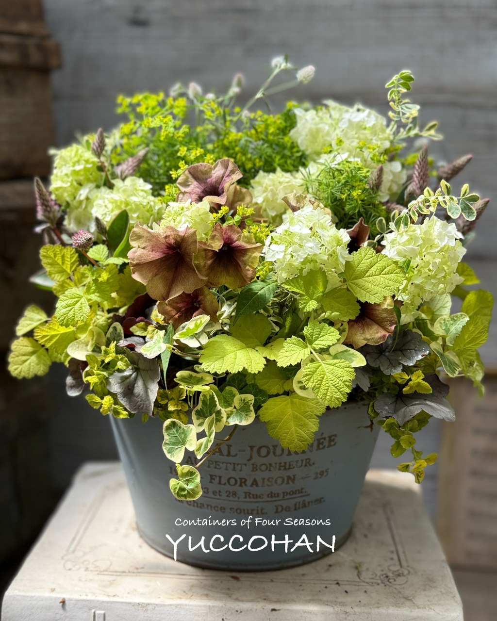 フリーデイレッスン(全日)