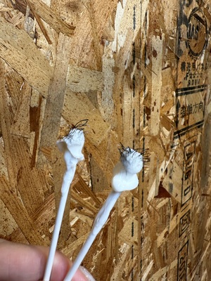 ＊BLOOMメニュー＊