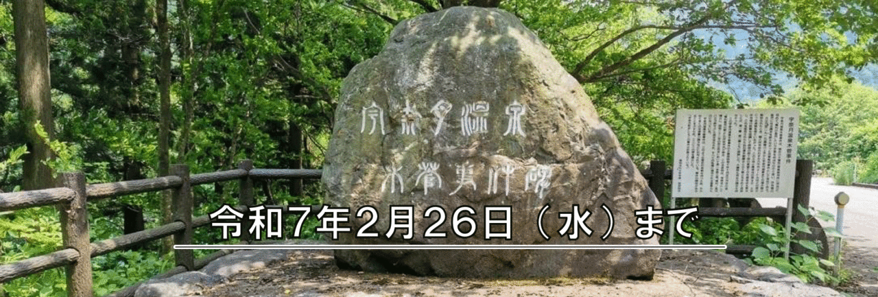 大会のみ現地参加