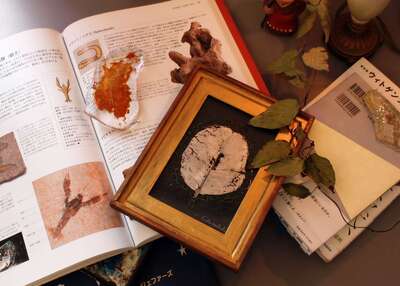 GlassWorksちゅき・ガラス体験は不定期のためお休みです