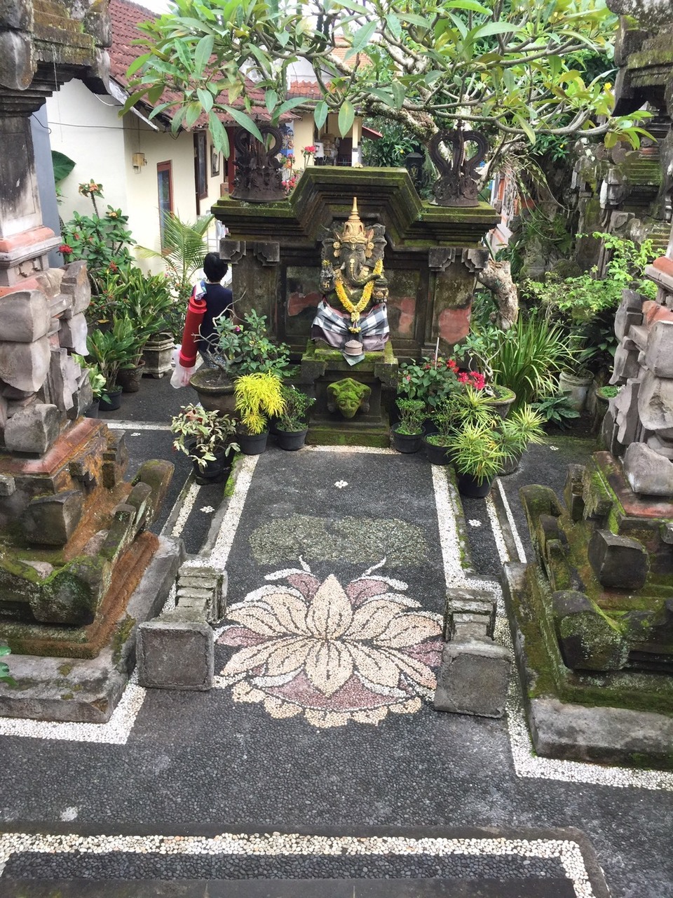 はじめてのアシュタンガヨガ