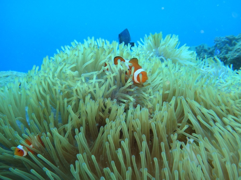 HappyLei & HappyLei❁Gate 