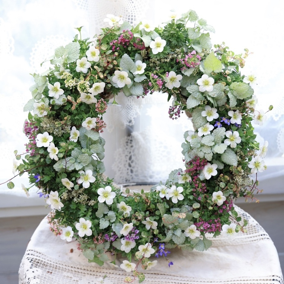 雲間草リースワークショップ2026