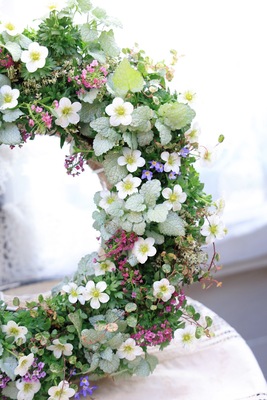 雲間草リースワークショップ2026