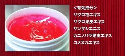 バイオエレクトロ  ヒーリング：メニュー詳細はここをクリック