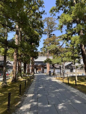 2025年8月-10月　【現地集合・現地解散】 松観瀾亭貸切プレミアム体験モニターツアー 