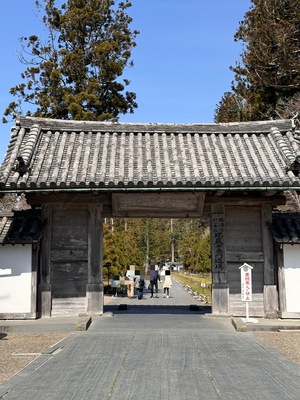 2025年8月-10月　【現地集合・現地解散】 松観瀾亭貸切プレミアム体験モニターツアー 