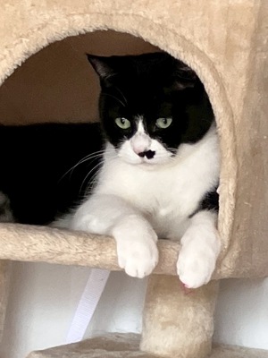 シェルター（三ツ割）ご見学予約