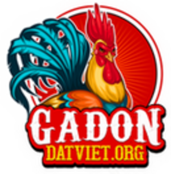 Gà đòn đất việt nơi hội tụ các giống gà xịn nhất