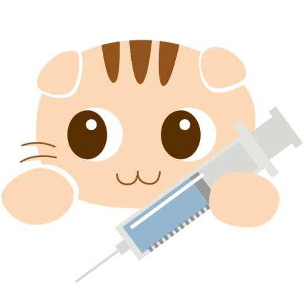 生後6・7ヶ月以降のB型肝炎ワクチン3回目【診察券ある方対象】2026年～