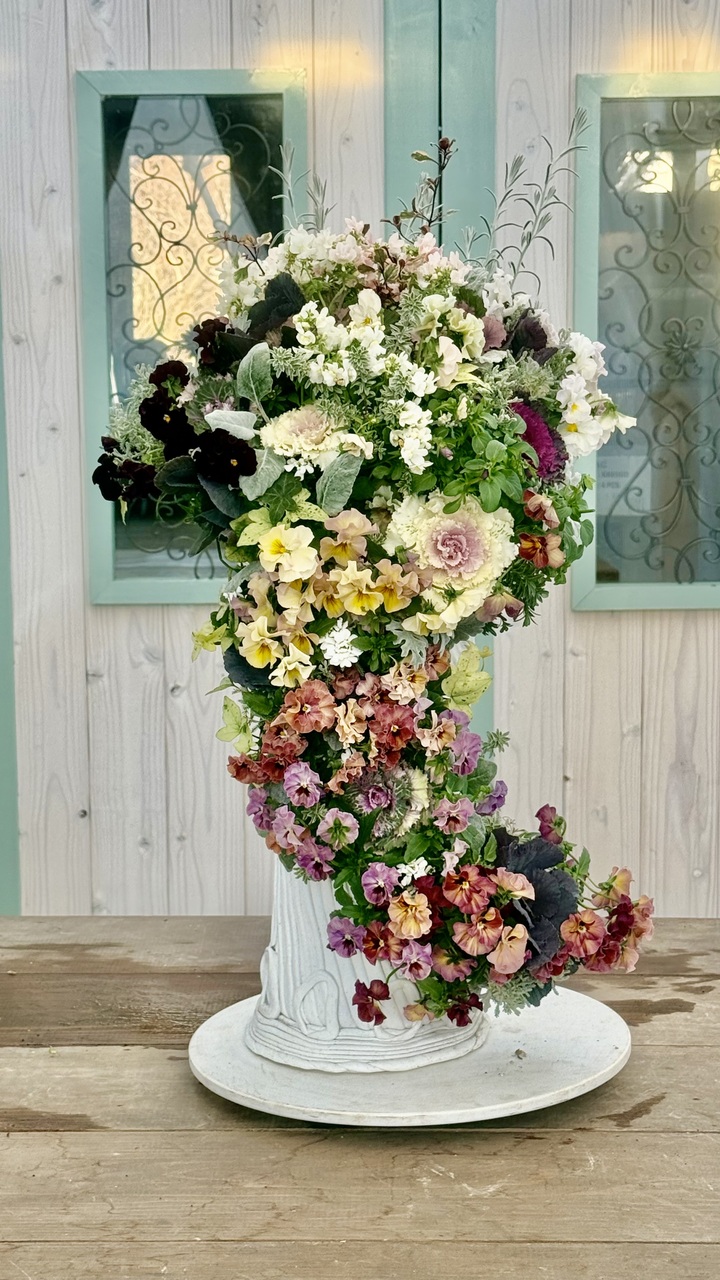 1月テクニカルコース／プランツギャザリングを本格的に学べるコース