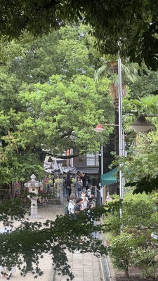 ご予約メニューはこちら