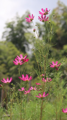 ご予約メニューはこちら