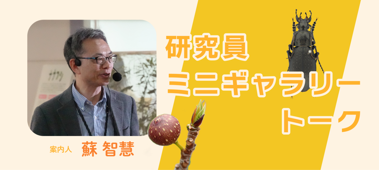 研究員ミニギャラリートーク