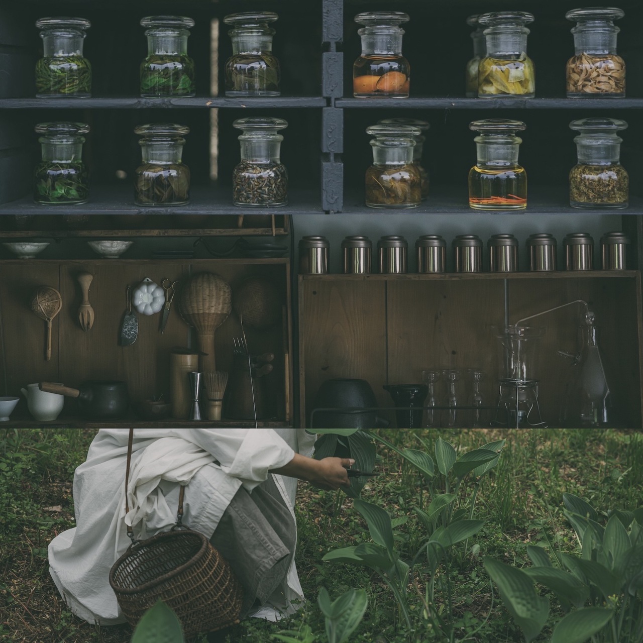 野香茶ガイドウォーク/席予約