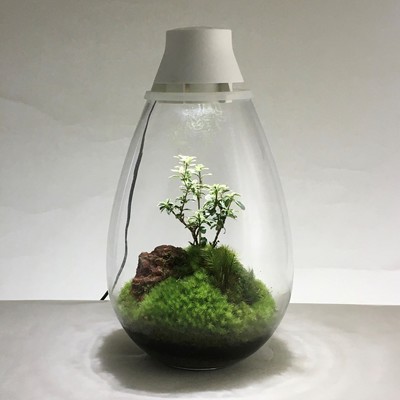 【阪急うめだ本店】モスライト作成ワークショップMosslight-LED