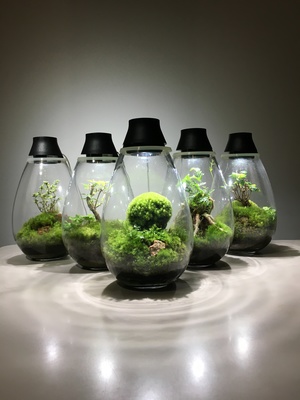 【阪急うめだ本店】モスライト作成ワークショップMosslight-LED