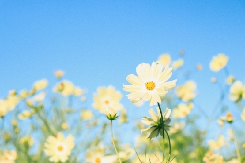 Aroma treatment ご予約はこちら