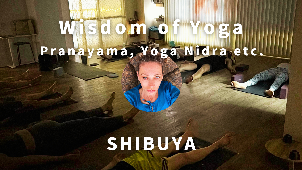 Meditation (Yoga Nidra, Pranayama practice etc.)