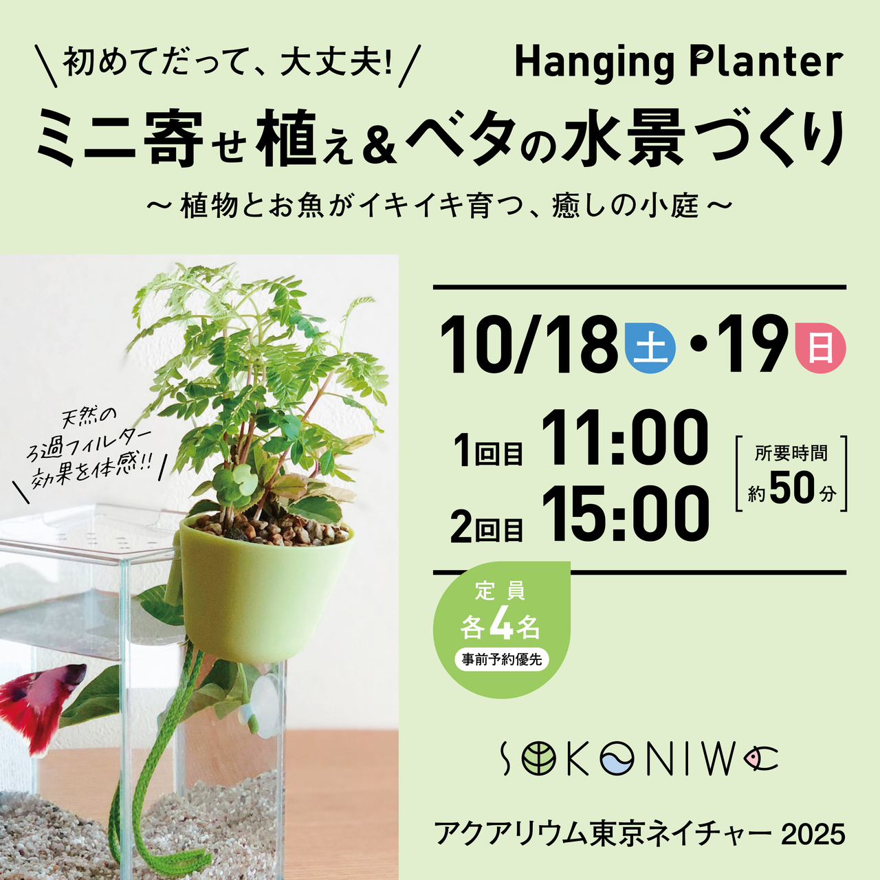 10/18.19 SOKONIWA（水作）ミニ寄せ植え＆ベタの水景づくり　in アクアリウム東京ネイチャー2025
