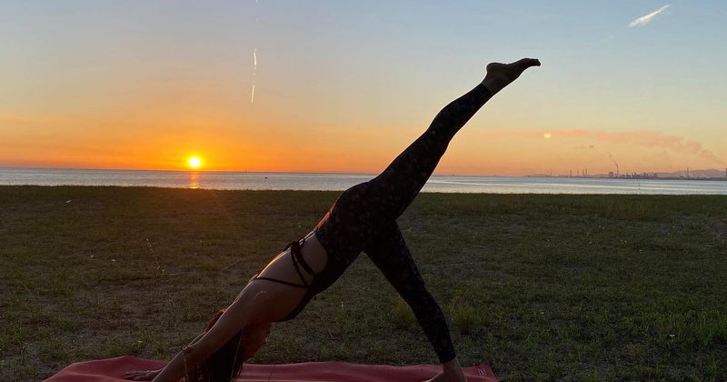 オンライン】 アイアンガーヨガ 『プライベート』 初回体験 60分