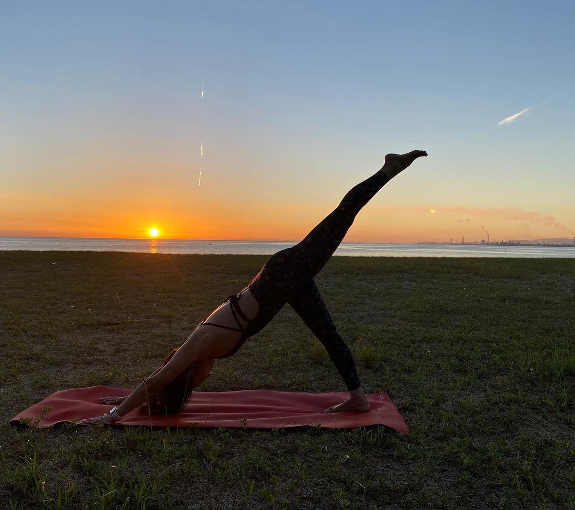 オンライン】 アイアンガーヨガ 『プライベート』 初回体験 60分