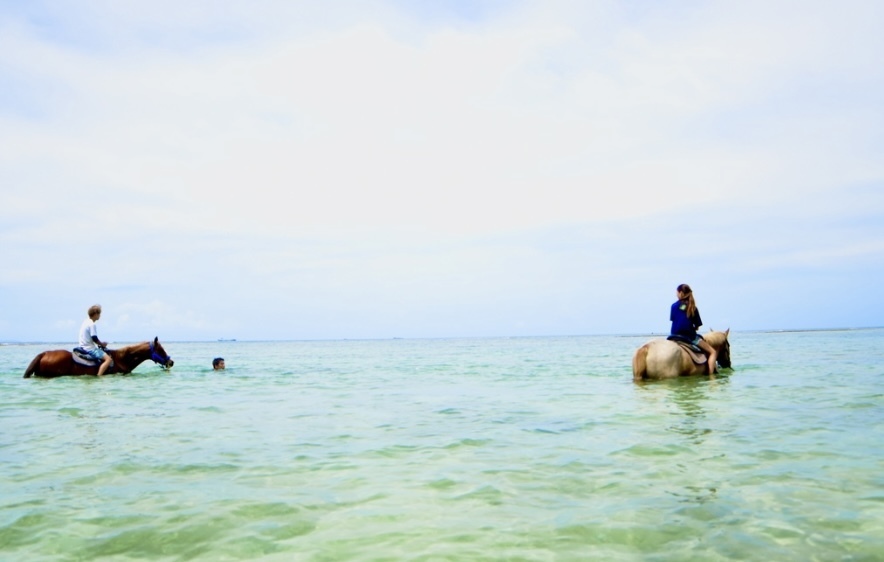 おきなわ乗馬倶楽部 夏季限定！海うまコース予約（6月～10月）※2026年6月以降のご予約はこちら