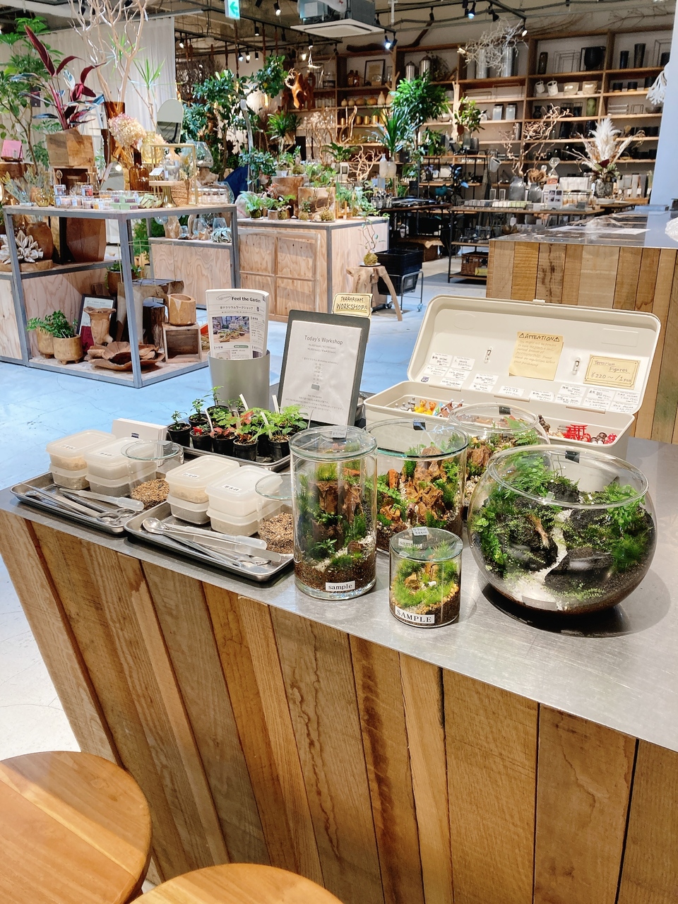 【 渋谷 SCRAMBLE SQURE 】苔テラリウム ワークショップ Feel The Garden