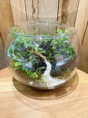【 渋谷 SCRAMBLE SQURE 】苔テラリウム ワークショップ Feel The Garden