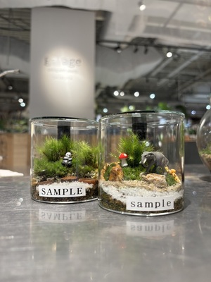 【 渋谷 SCRAMBLE SQURE 】苔テラリウム ワークショップ Feel The Garden