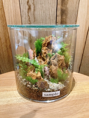 【 渋谷 SCRAMBLE SQURE 】苔テラリウム ワークショップ Feel The Garden