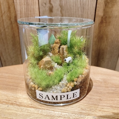 【 渋谷 SCRAMBLE SQURE 】苔テラリウム ワークショップ Feel The Garden