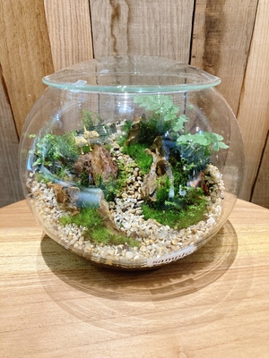 【 渋谷 SCRAMBLE SQURE 】苔テラリウム ワークショップ Feel The Garden