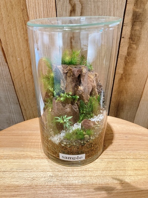 【 渋谷 SCRAMBLE SQURE 】苔テラリウム ワークショップ Feel The Garden