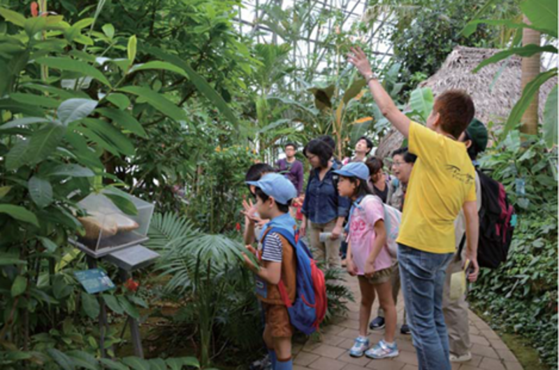 夢の島公園・夢の島熱帯植物館ボランティア会 新規メンバー募集