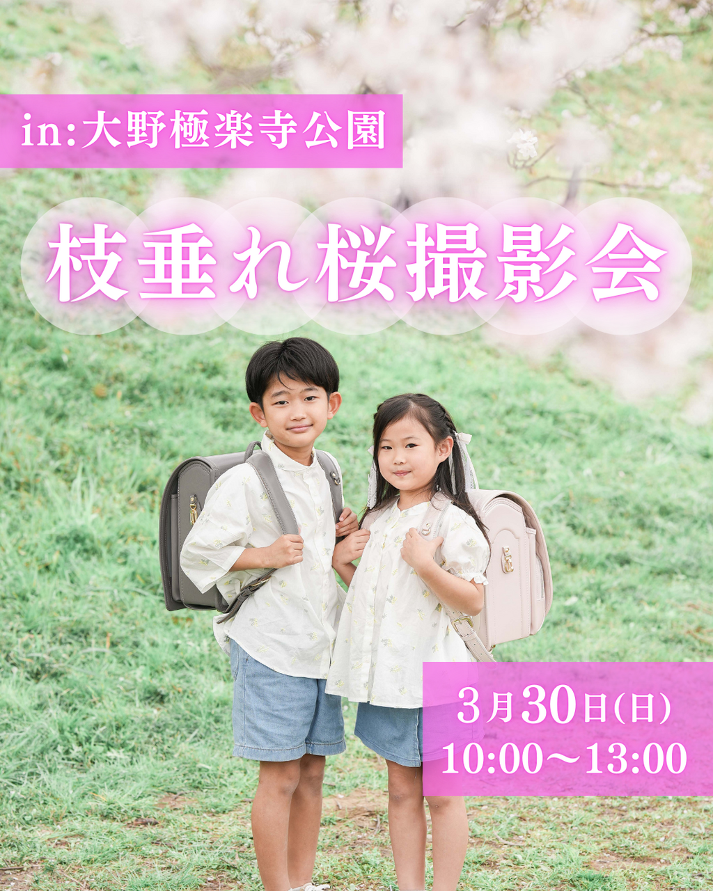 3/30(日)【枝垂れ桜撮影会】一宮市｜大野極楽寺公園