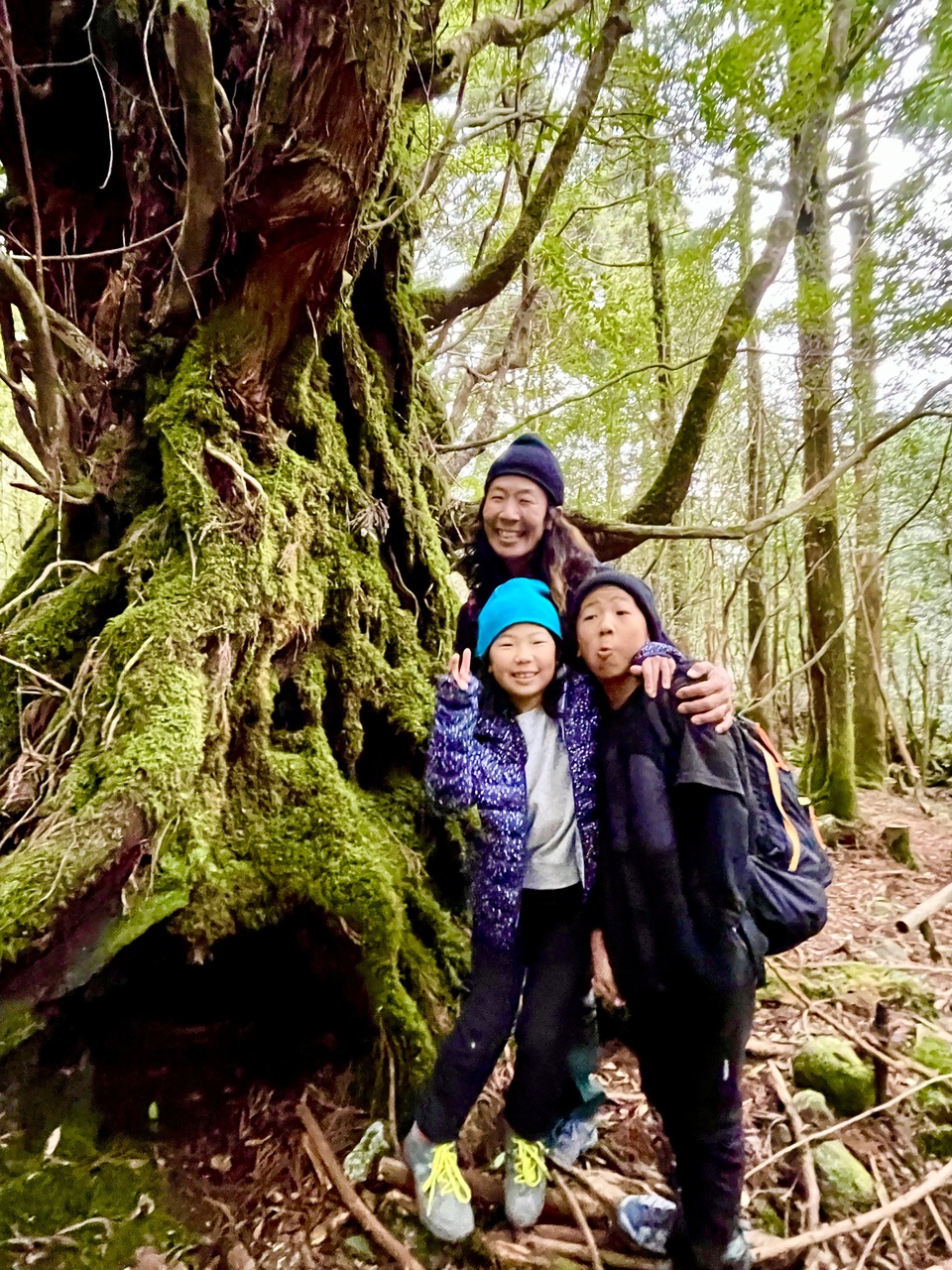 「どこで学ぶか」を選ぶ──義務教育×山村離島留学という新たな選択肢