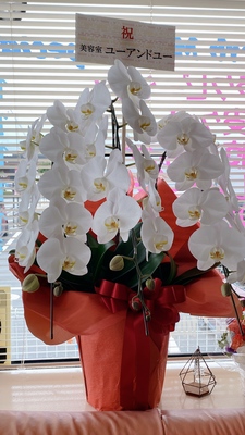 ご予約はこちらから