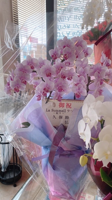 ご予約はこちらから