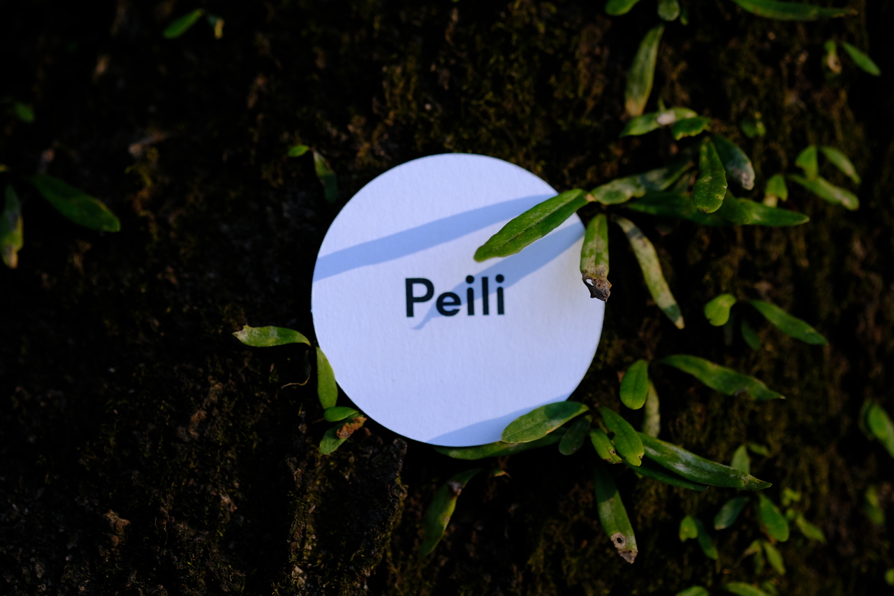 Peili予約ページ（メニュー紹介文要確認）