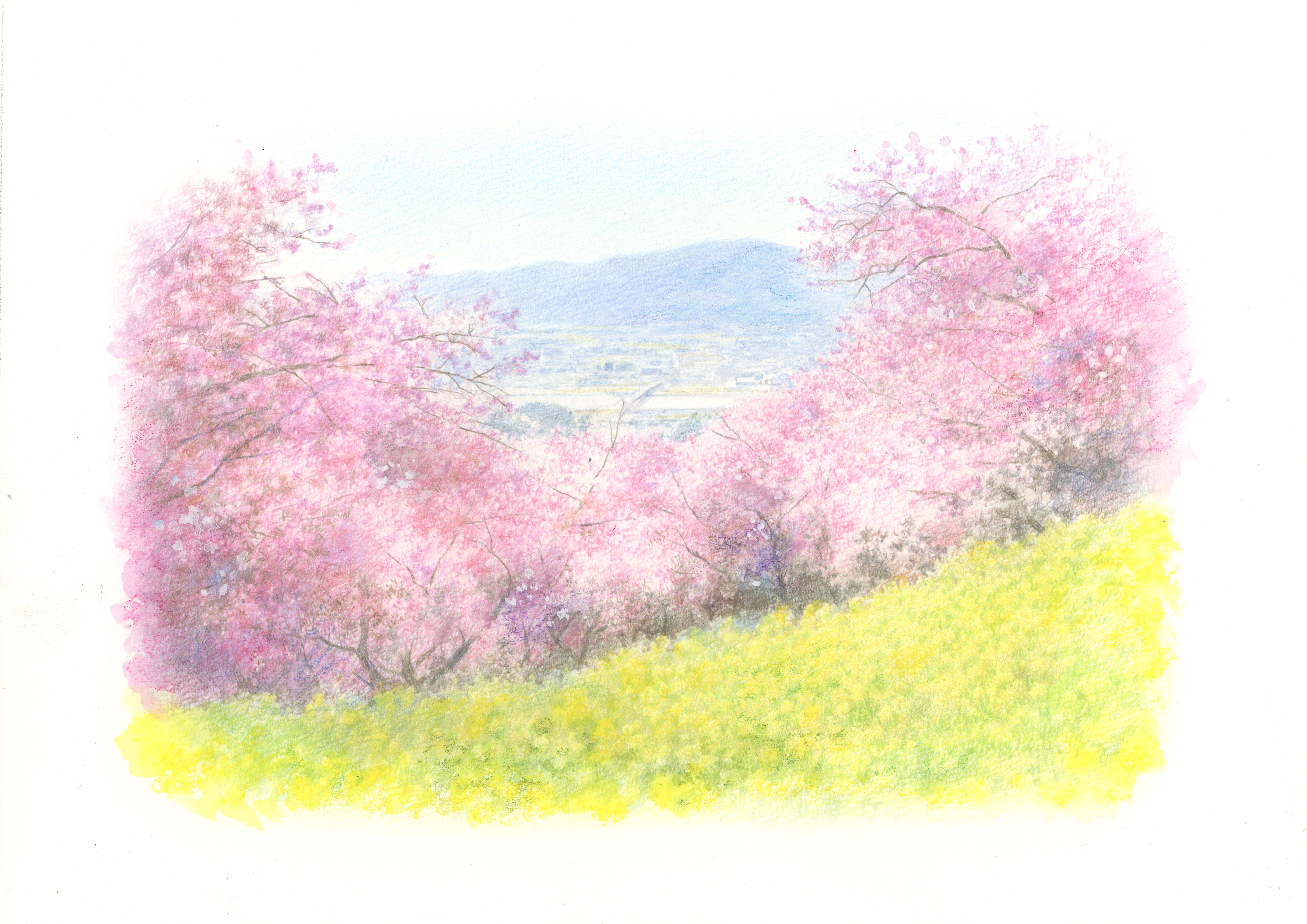 G.Itoya10階】野村重存氏に学ぶ 水彩色鉛筆ワークショップ