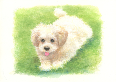 【G.Itoya10階】野村重存氏に学ぶ　水彩色鉛筆ワークショップ