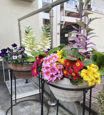 インフルエンザワクチン予約（午後のみ）