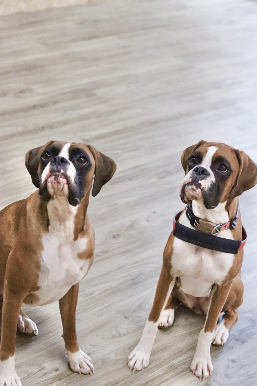 1日体験レッスン